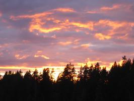 Kurs med Darren Woodhead, 29 juli - 2 augusti 2015